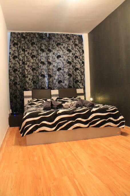 Yua'Shomes-Bussiness And Travel Apartment Клуж-Напока Екстер'єр фото